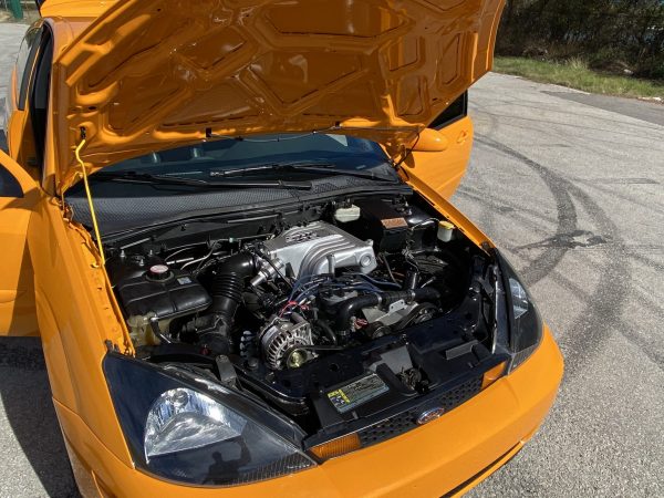 2003 Ford Focus with a 5.0 L V8
